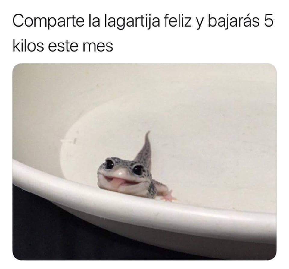 soyalecavag's tweet photo. Nunca está de más. https://t.co/M6TBF6g1PZ