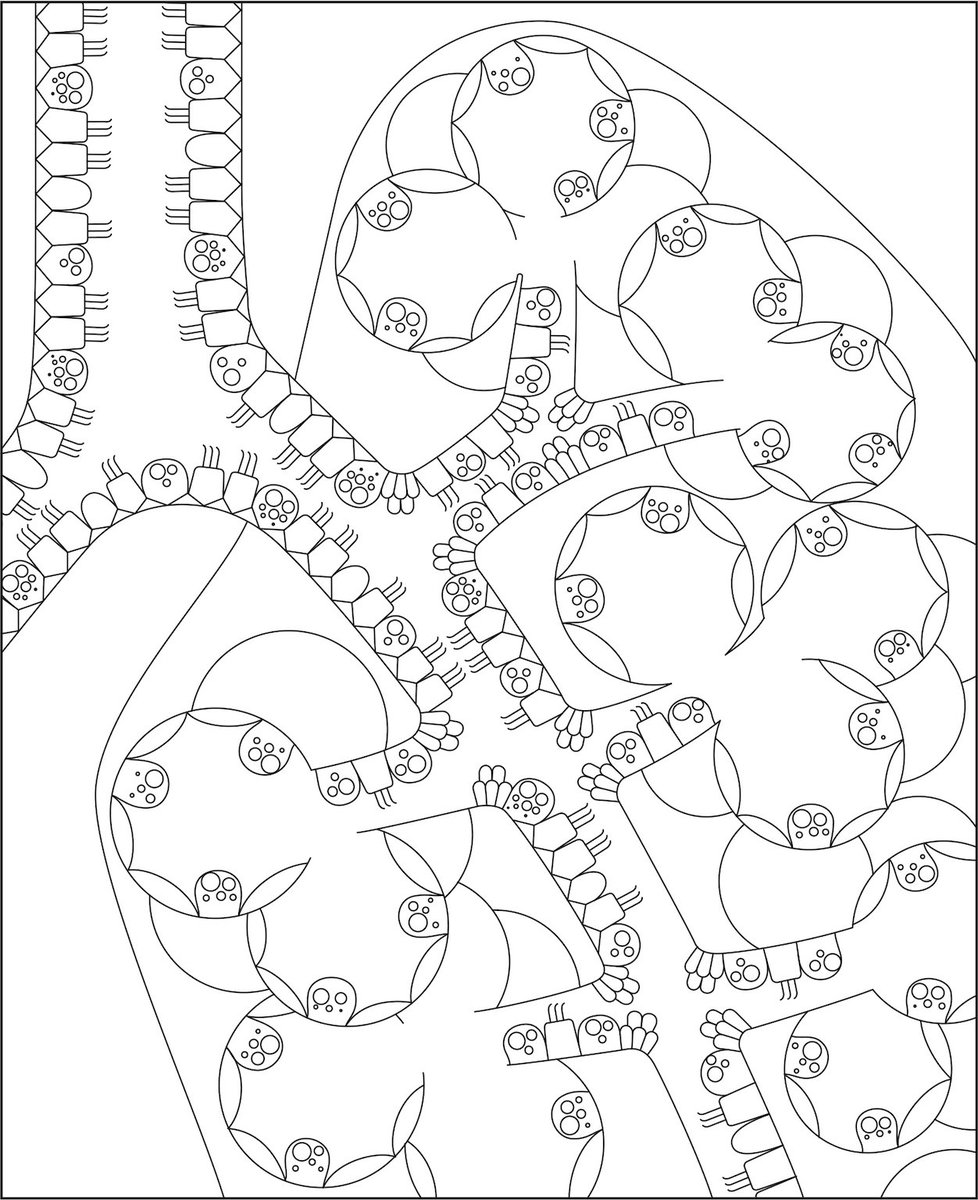 理研bdr 生命機能科学研究センター 難易度高い 新鮮な 大人の塗り絵 勉強になる上にキレイ などなど反響をいただいている いきもんぬりえ肺 塗り方はデジタルでもアナログでもok 応募締切10 まで まだまだ作品募集しています キッズ賞