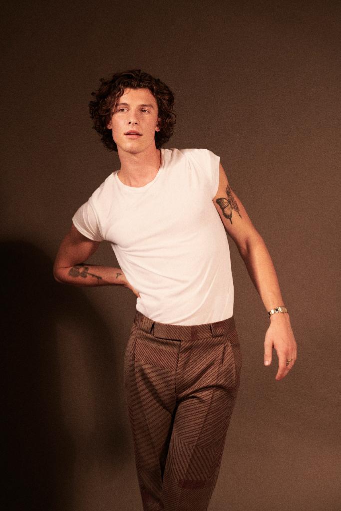 Keep calm, <a href="/ShawnMendes/">Shawn Mendes</a> is back. 😍

Pre-add his upcoming album #Wonder and listen to the title track now: apple.co/Wonder