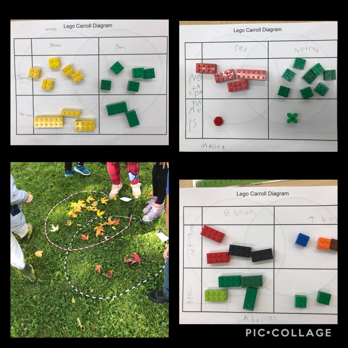 So amazed by the problem solving skills of the grade 3 Ss as they sorted and organized objects into venn and carroll diagrams.
