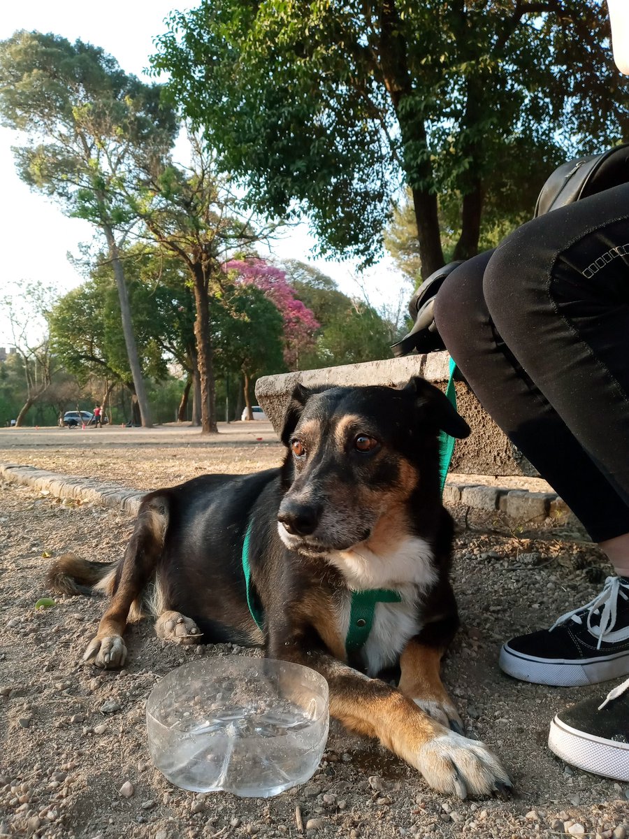 Hoy fui al parque a presumir mi brisho pq ayer fui a la pelu mi ciela 💅💃
