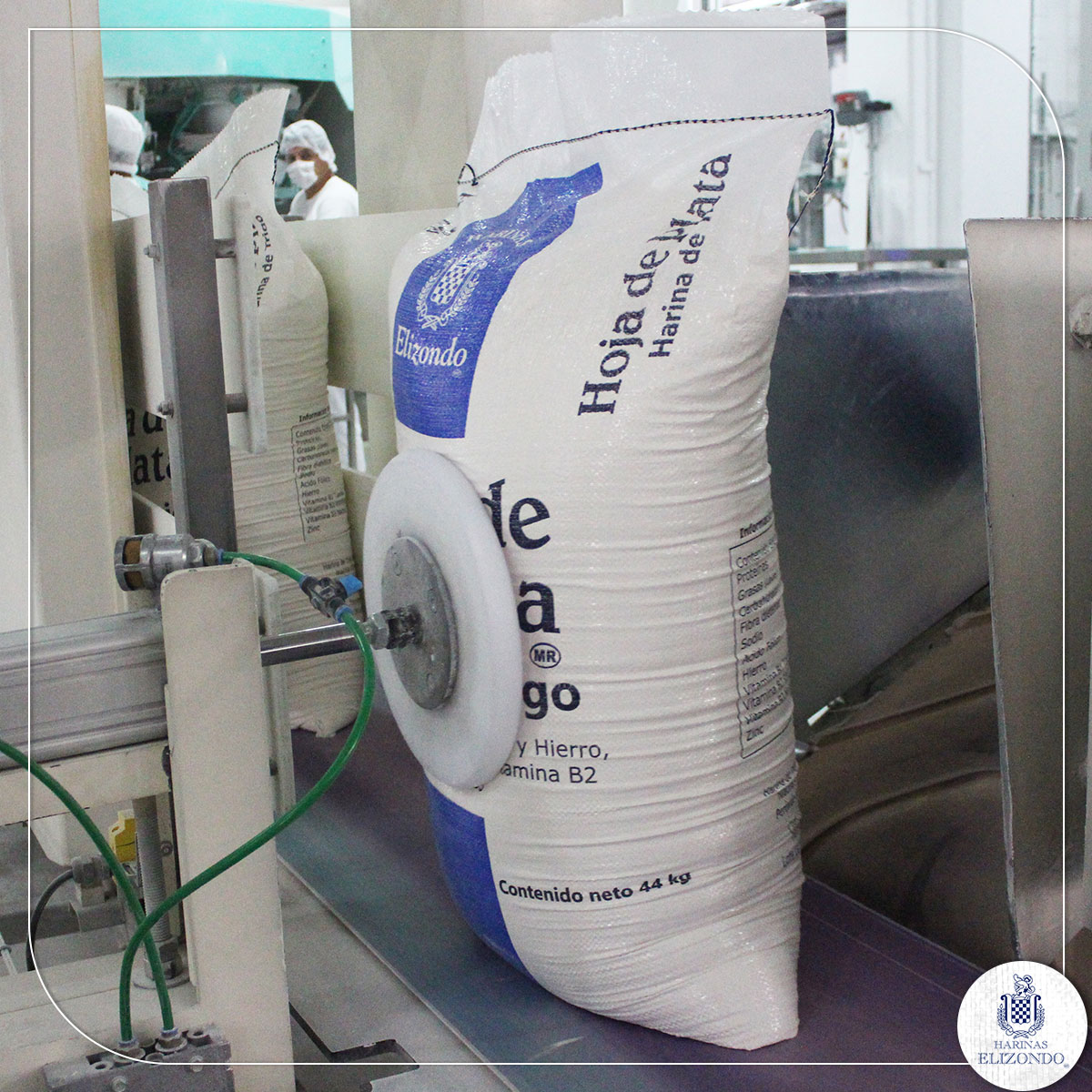 Nos sentimos orgullosos de la inocuidad de nuestras harinas, que se basa en la avanzada tecnología de nuestras instalaciones logrando que el producto jamás entre en contacto con el entorno para garantizar su máxima higiene. Mejores harinas, mejores resultados.