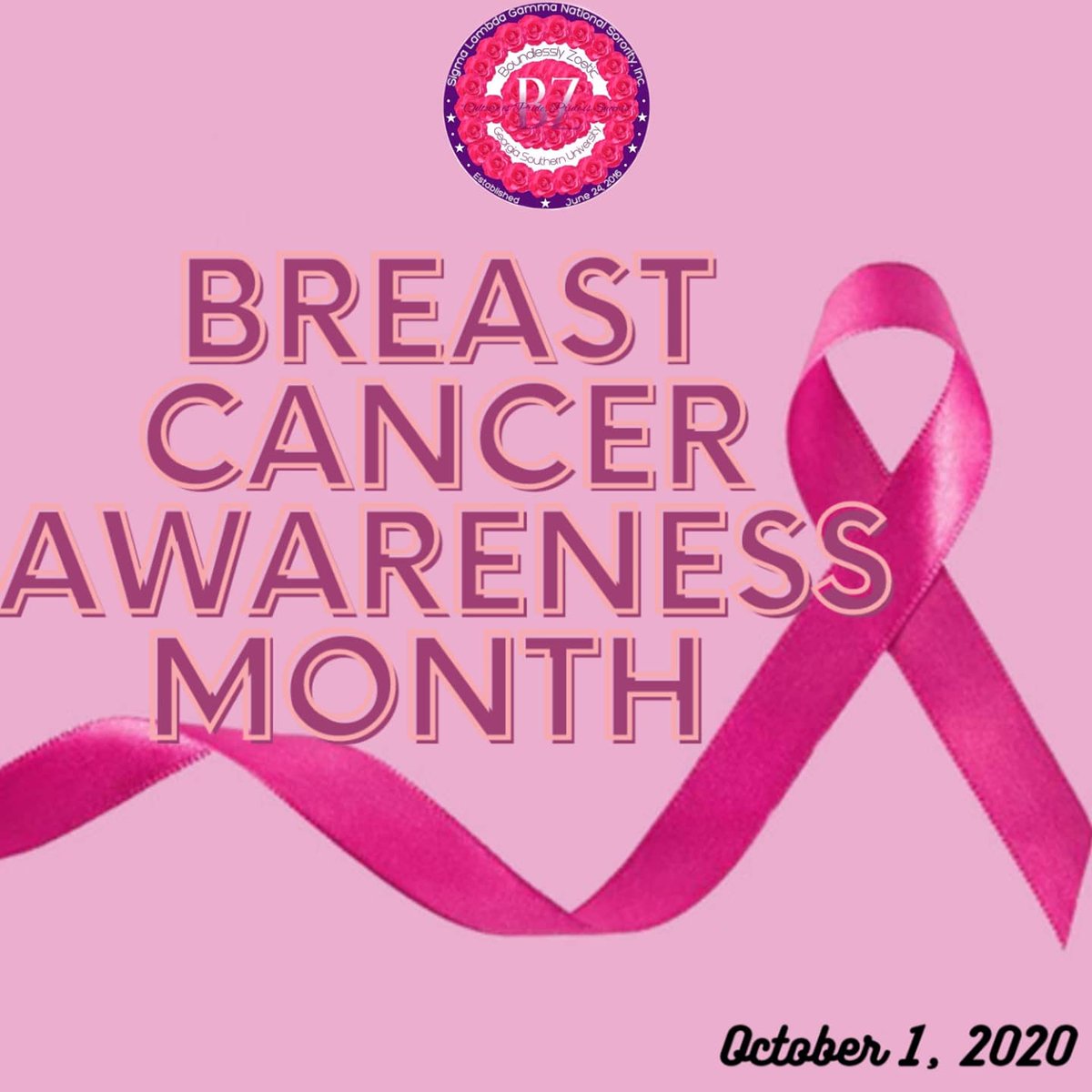 Beta Zeta Gammas tweet media