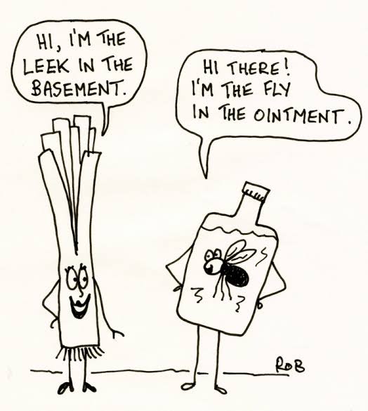 bellplumbing1's tweet photo. Happy Friday! It’s that time of the week again #FridayFunny
.
.
.
.
.
.
.
.
.
.
#plumbinglife #materplumber #hotwaterplumber #waterwiseplumber #leakdetection #warnbroplumber #plumberwarnbro #plumbingwarnbro #warnbroplumbing #warnbro https://t.co/7yV9nsjp3F