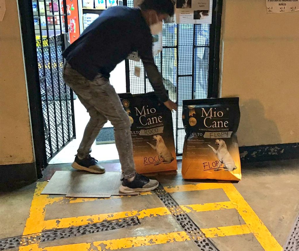 incondic_peru's tweet image. ENTREGA DE ALIMENTO BALANCEADO!
Gracias a las rifas estamos dejando el alimento balanceado a los perros rescatados que aún no son adoptados, gracias a todos por ayudarnos con la rifa.
#Rambala #Flopy #Ludovica
#Cooper #Bellcan #Balto #Brandy #Choco #Roco
#ApadrinarSalvaVidas 🦋