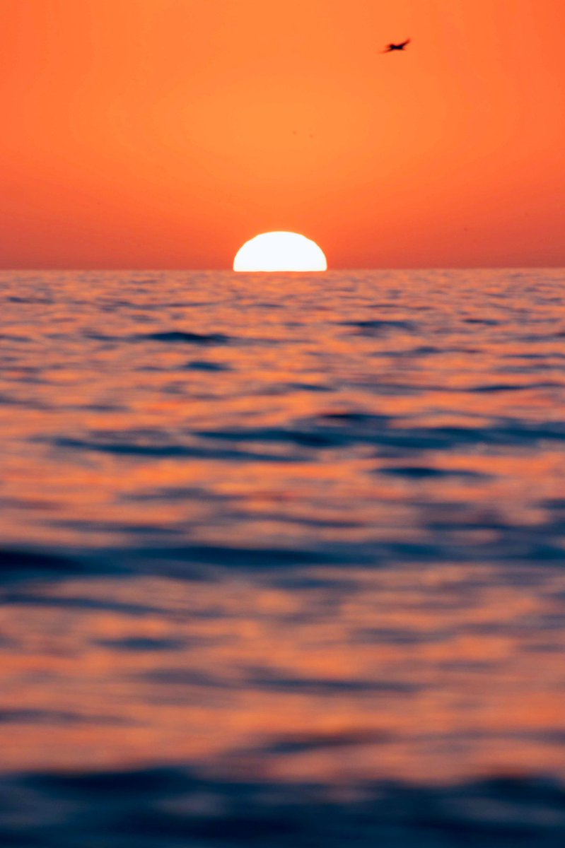 urbangorillas's tweet photo. There is no right time—
there is just time and what
you choose to do with it. ☀️🌊

✖️@SKemp_97✖️ https://t.co/P4MRLw5HTS