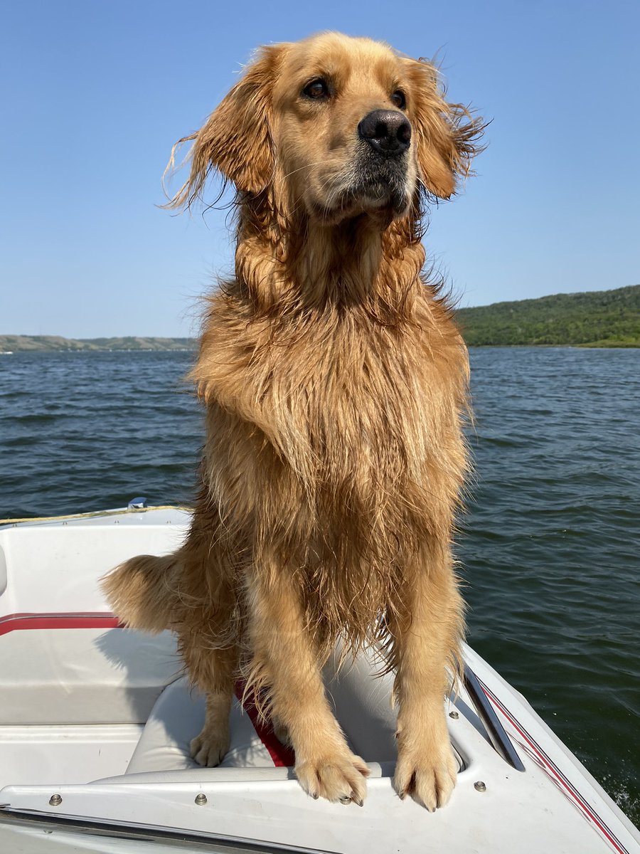 Jason Cline tweet media