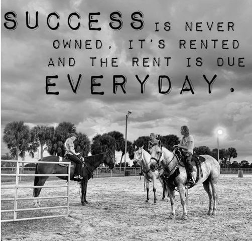 Work hard everyday 🐴