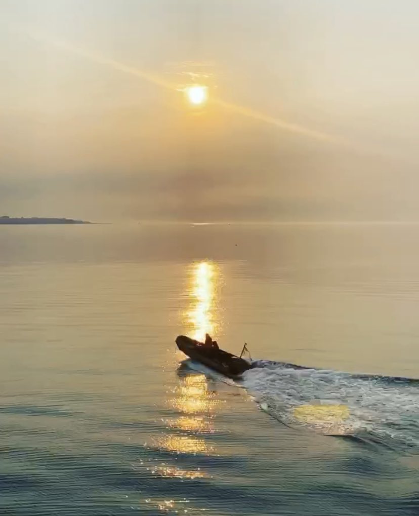 HMCS/NCSM Brandon tweet media