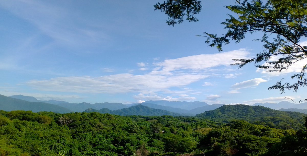 CruzAntonioGil's tweet photo. Que bonito es lo bonito. También allá vive la gente. Debemos de voltear a verlas. #capitalnatural #Huatulco #TerraSC https://t.co/SrJJMhpKvk