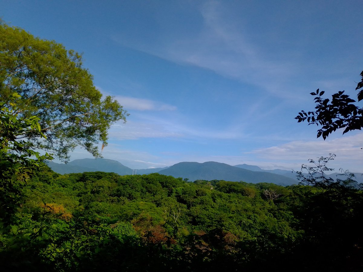 CruzAntonioGil's tweet photo. Que bonito es lo bonito. También allá vive la gente. Debemos de voltear a verlas. #capitalnatural #Huatulco #TerraSC https://t.co/SrJJMhpKvk