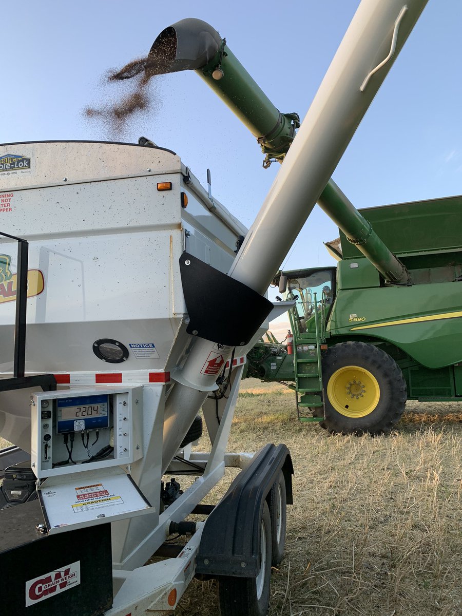 chickfarmgirl99's tweet photo. Just finished weighing a strip of DKTF 98 CR in Edgerton! #yieldtown https://t.co/79e0SAngim