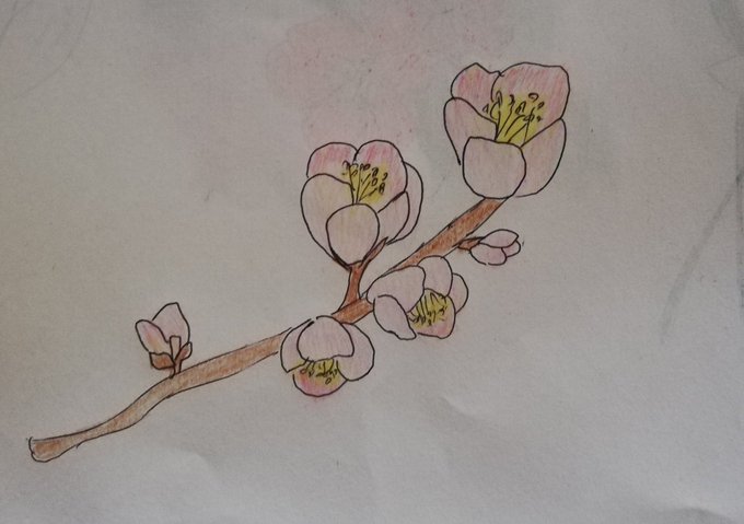 Tipのtwitterイラスト検索結果 古い順