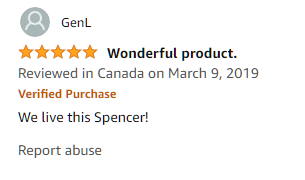 This review from Plarail spencer. I might open the gates to doing trackmaster now because I'm grasping at straws to find funny reviews that aren't just "great"