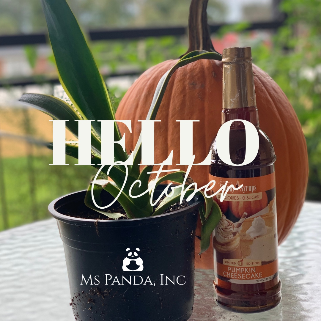 MsPandaInc1's tweet photo. #october #fall #pumpkineverything #virtualassistant #projectmamager #socialmediamanager https://t.co/mOJSnQOEr7