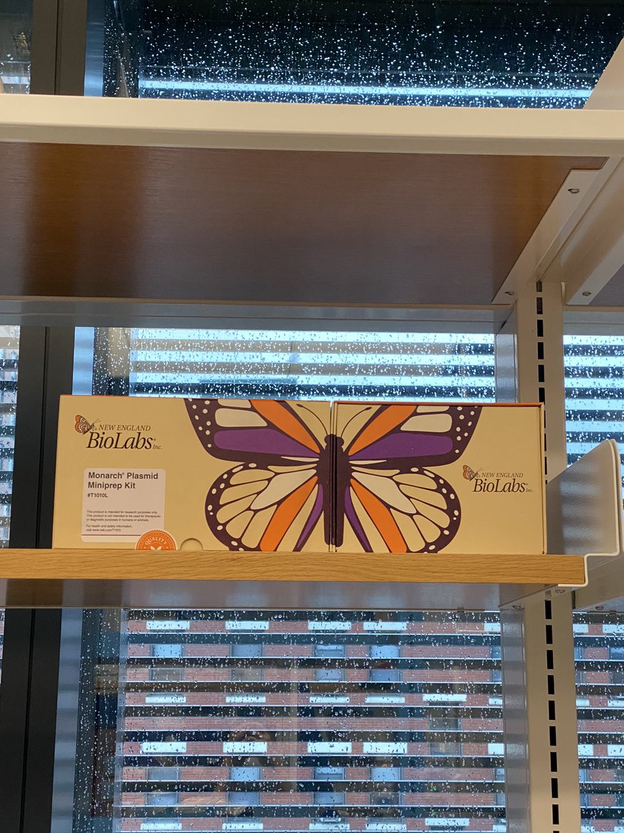 SepidehTavakol2's tweet image. I saw a butterfly on your bench today!  🦋@Yifang17957864 
I love @NEBiolabs products for several different reasons but packaging is definitely one of them!