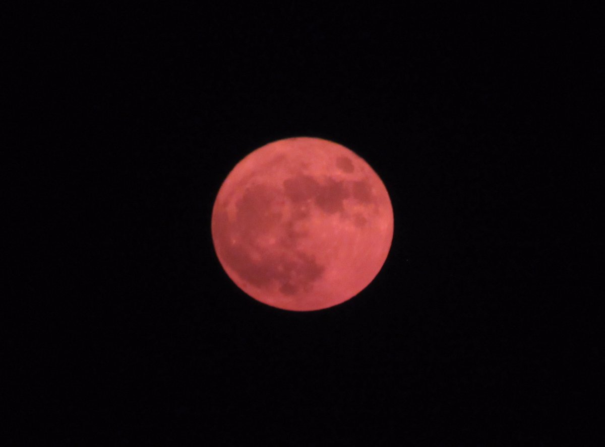 cheerydodie's tweet photo. 10/01/20 red moon (a thread) #fullmoon https://t.co/ikWiaS9kq2