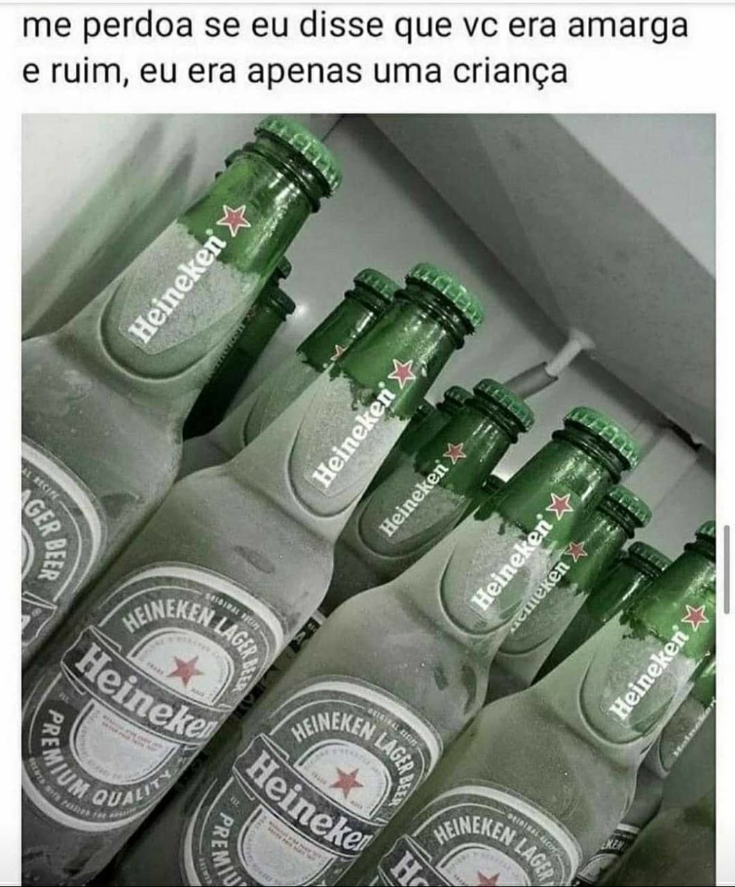 Ai na minha vez de ser adulto o quilo da carne tá 40 conto, gasolina 6 e Heineken 7. Só história triste - iFunny Brazil