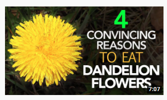 Byleth. 🔞🏳️‍🌈 (@by_eisner) on Twitter photo 