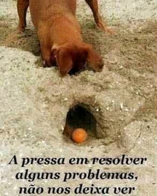 Leo_Costa7's tweet photo. Pense nisso! 🍃 https://t.co/M6tEyyxd2A