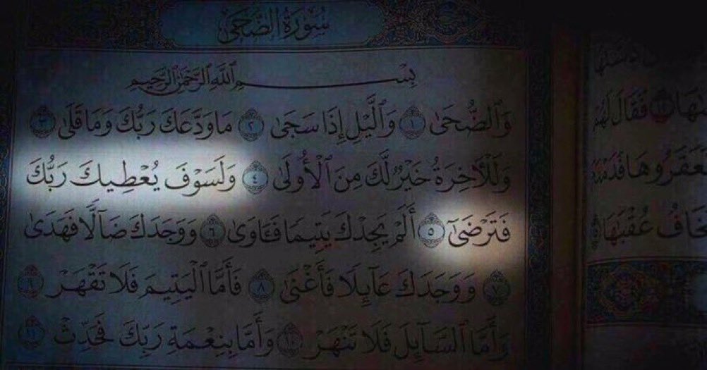 bashayer0000 tweet picture