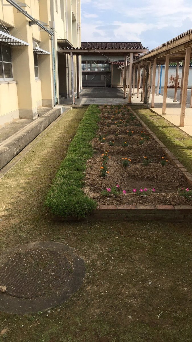 奈良教弘 6月8日 花壇の両サイドに植え付け 間隔が少し大きかったので広がってくれるか心配ですが きれいな花を咲か せてくれるのが楽しみでした 花壇にマリーゴールドで作成した t o n a nの花文字 その両サイドを満開のカーペット 奈良教弘 6月8日 花壇の両サイドに植え付け 間隔が少し大きかったので広がってくれるか心配ですが きれいな花を咲か せてくれるのが楽しみでした 花壇にマリーゴールドで作成した t o n a nの花文字 その両サイドを満開のカーペット
