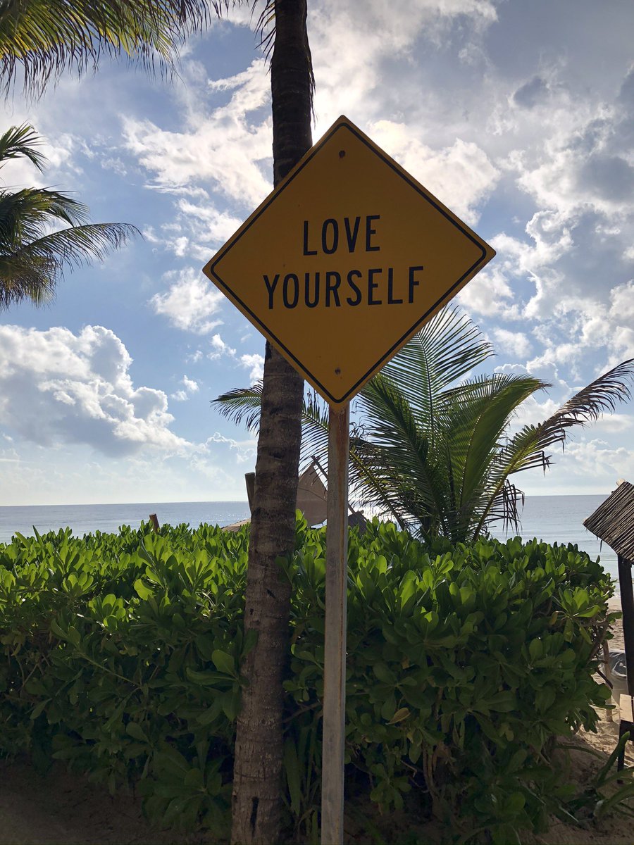 acc92's tweet image. 4 passions 4 tags 4 pics 
1. Deep conversations 
2. Naturopathic medicine/ natural healing
3. Being of service + cooking for people 
4. Sharing love and laughs 
@gmoneymc @ashley96nicole @_oliviakent @amadarisss