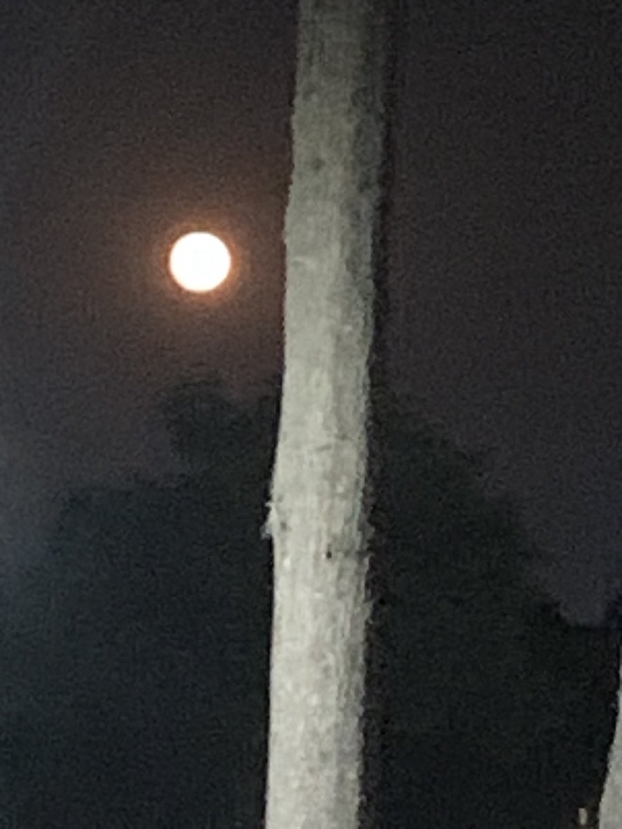 NegreteSirena's tweet photo. The moon right now!!! https://t.co/qzm5F7neza