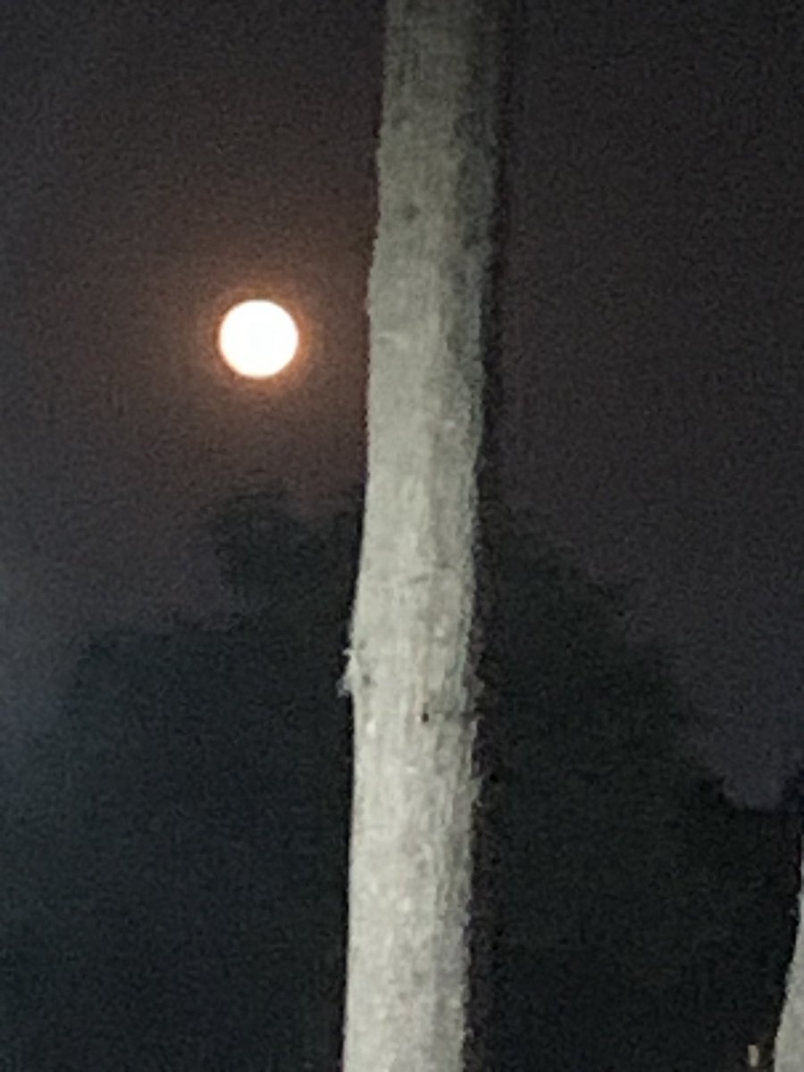 NegreteSirena's tweet photo. @ConwayShow the moon right now!!! https://t.co/NAumWnZfyo