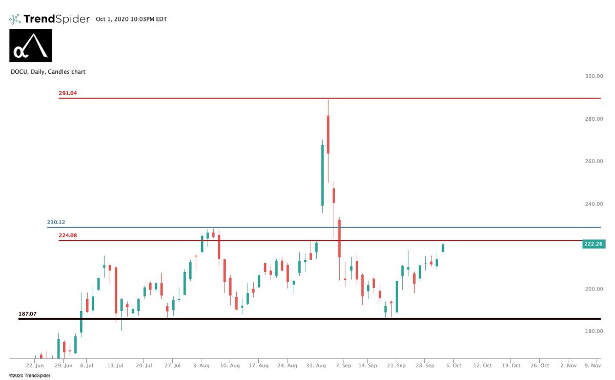  $DOCU. Been long this one since $191. Over $224 is a huge level which should slice through the previous $230 high like butter and rip to $252.