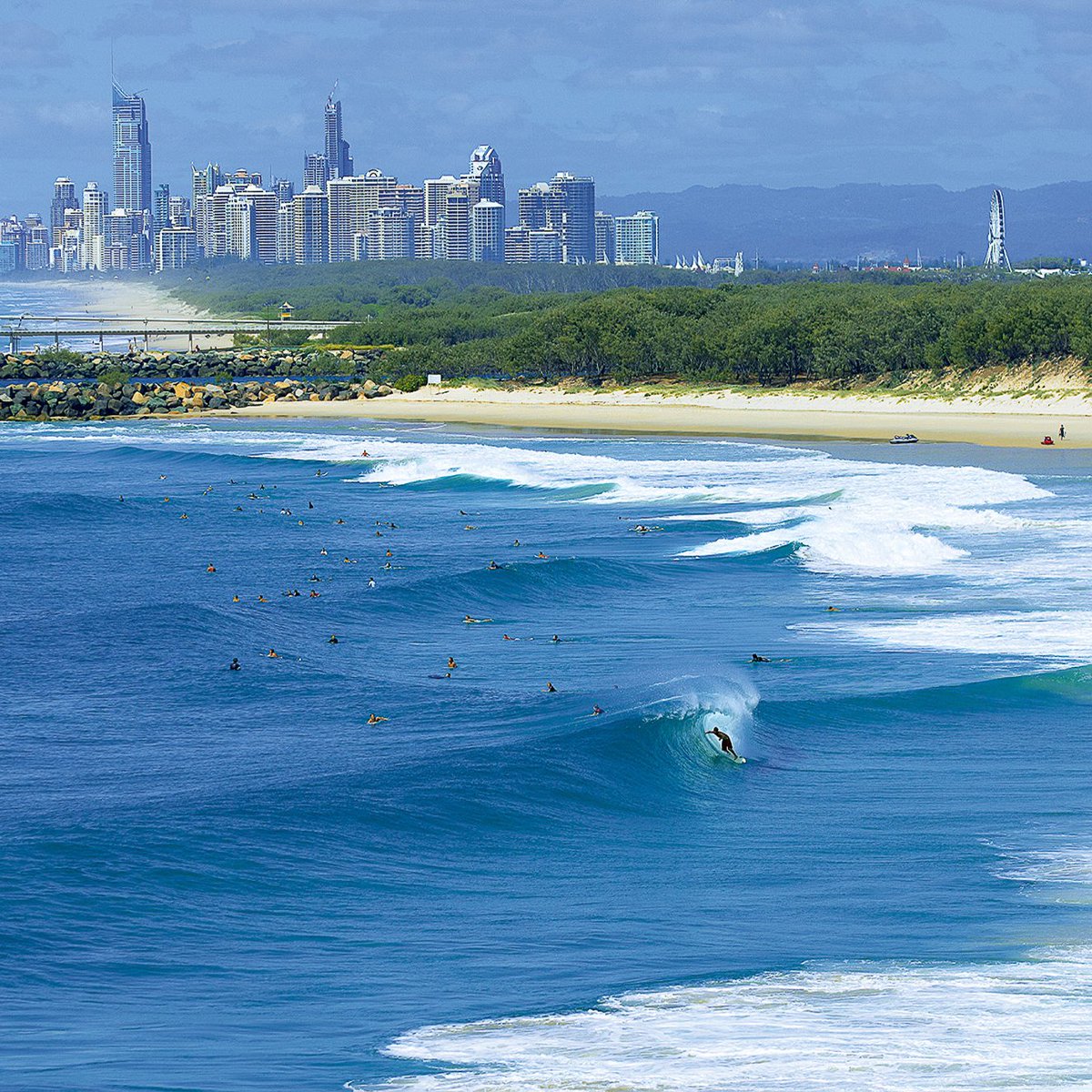 Surfing Queensland  tweet media
