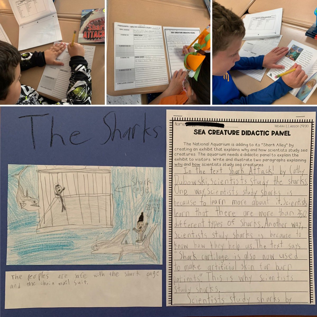 Hannah Jordan tweet media