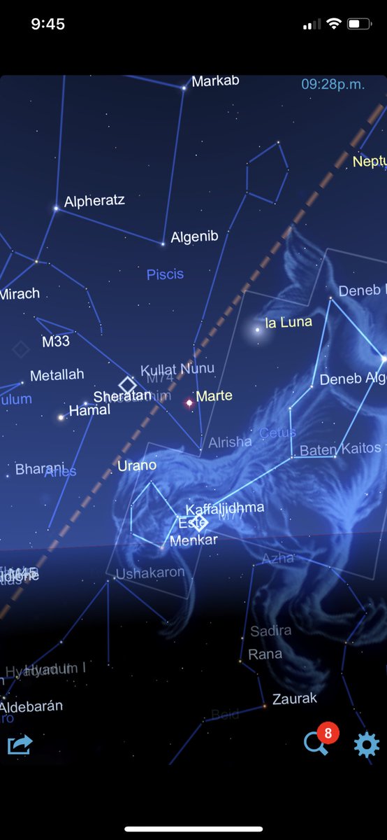 Dalia Baufer tweet media