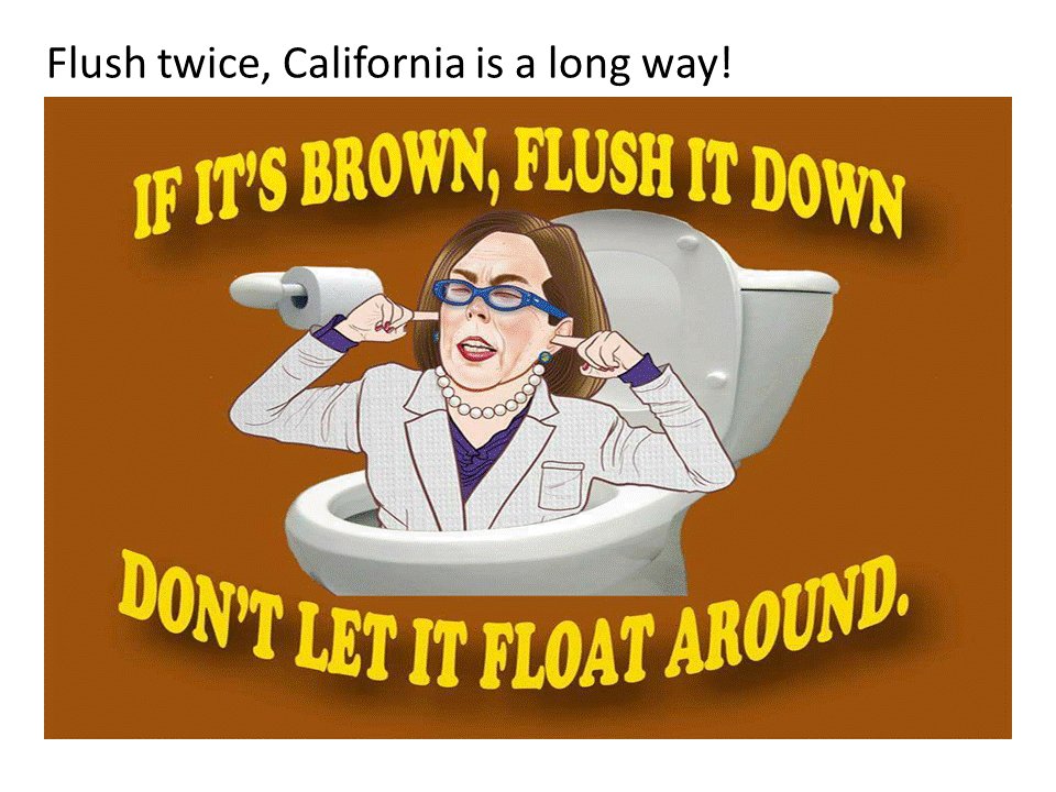 Lynda63986855's tweet image. We need to learn to flush more LOL