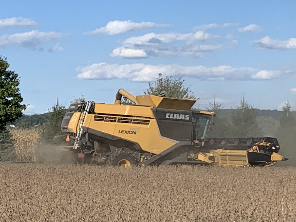 Lanc_ext_Jeff's tweet photo. Some pretty sweet soybeans out there this year. Harvested two PA Soybean contests.  90.5 and 100.7 B/a. Asgrow and Pioneer respectively. https://t.co/UwEN7FALl2