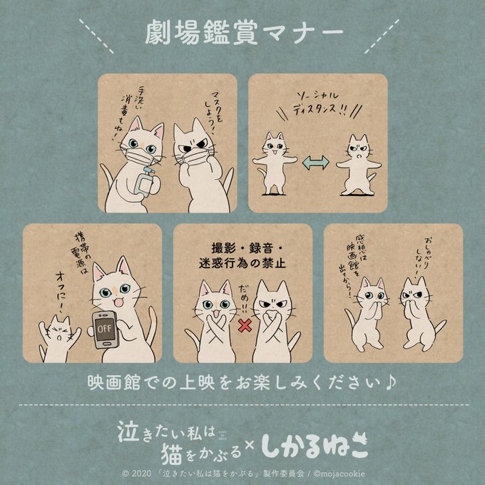 Twoucan 泣き猫 の注目ツイート イラスト マンガ コスプレ モデル Twoucan 泣き猫 の注目ツイート イラスト マンガ コスプレ モデル
