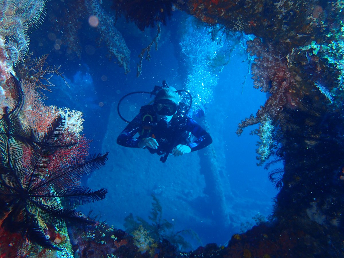 we offer special discount for diving at the liberty wreck tulamben from Oct 2020 to Dec 2020. lets come and try dive here now with us....