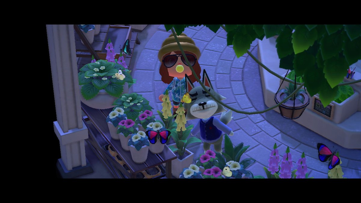 KarmaACNH's tweet photo. #Dobie is the ultimate #crankyvillager #AnimalCrossing #ACNH #NintendoSwitch #actwitter #wolfvillagers #fave https://t.co/SkVdWj0nZL