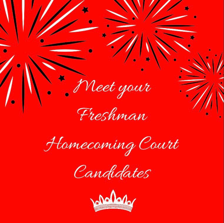 HanksStuCo's tweet photo. Knights, get to know this year’s Freshman Princess Homecoming Candidates!🛡⚔️👑 #EnchantedKnight https://t.co/6OHE5oNTeE