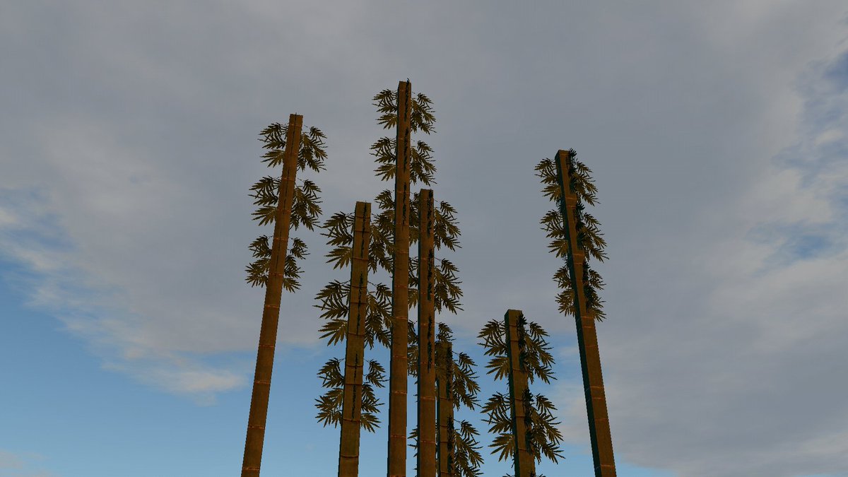 MaxJiJava's tweet image. Bamboo.