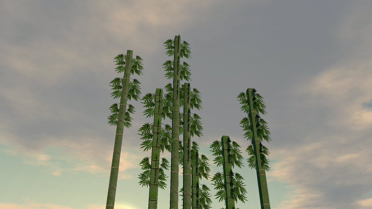 MaxJiJava's tweet image. Bamboo.