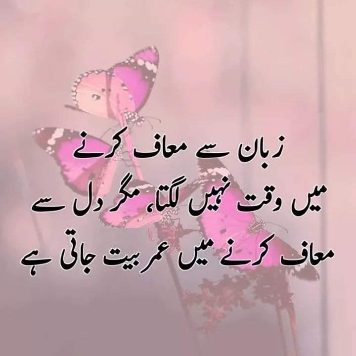 MjamilBj's tweet photo. https://t.co/vxu3bUjgCF