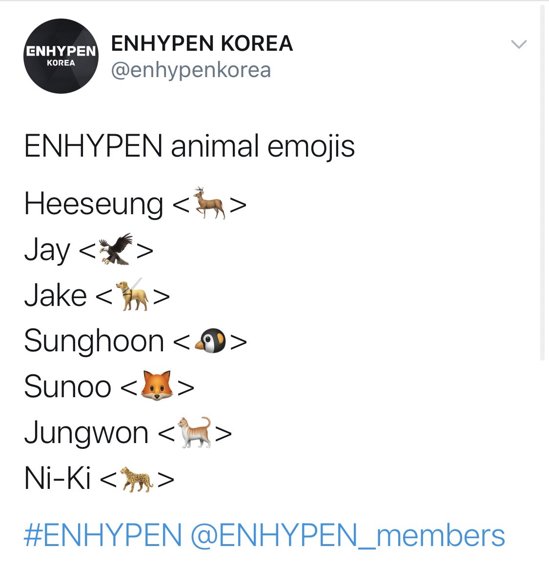 ENHYPEN KOREA on Twitter: 