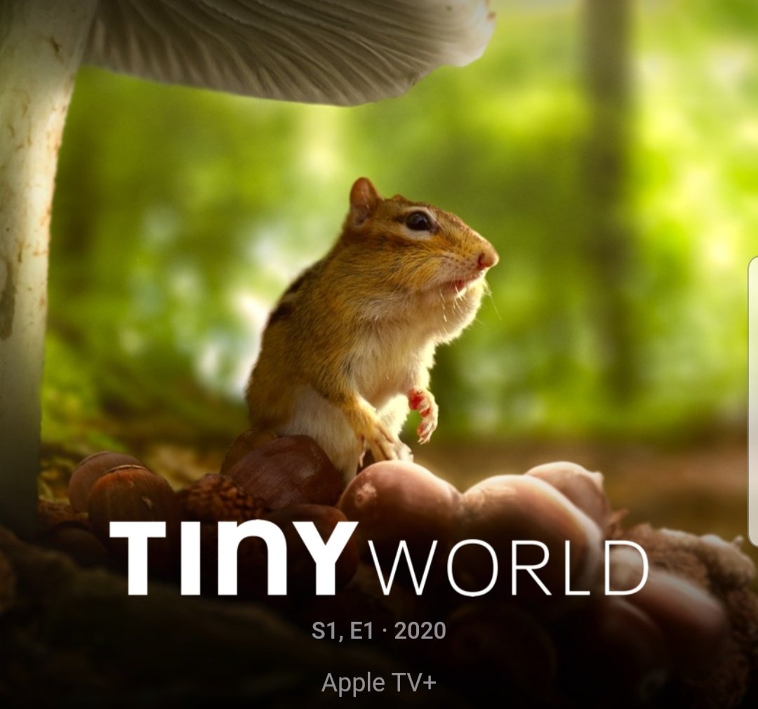 Jack Roberts tweet media