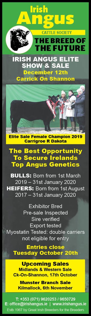 Irish Angus Cattle Society (@cattleangus) on Twitter photo 