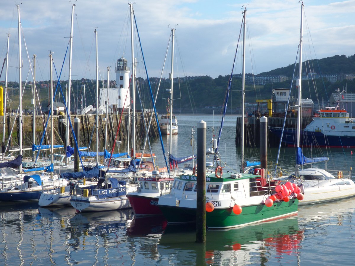 Cottages For Couples tweet media