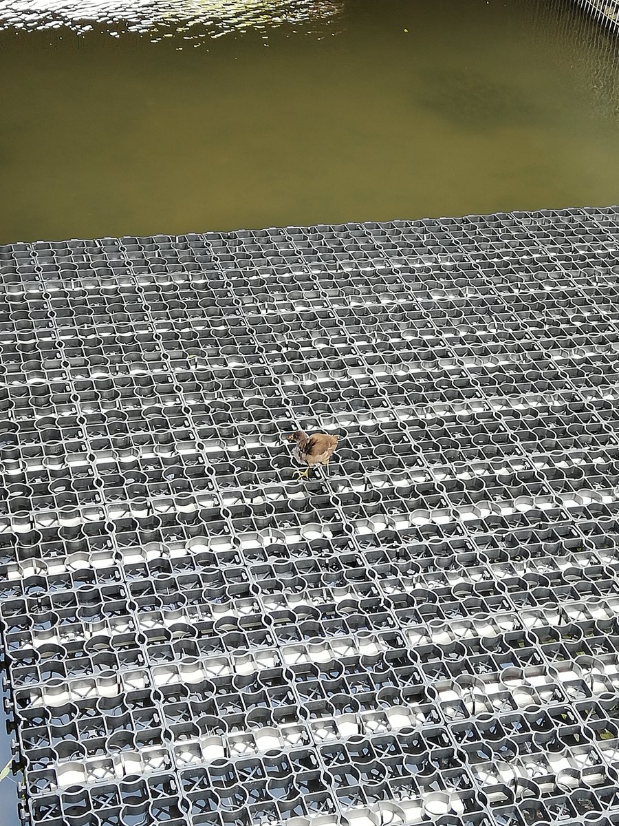 Centre Inria de l'Université de Lille tweet media