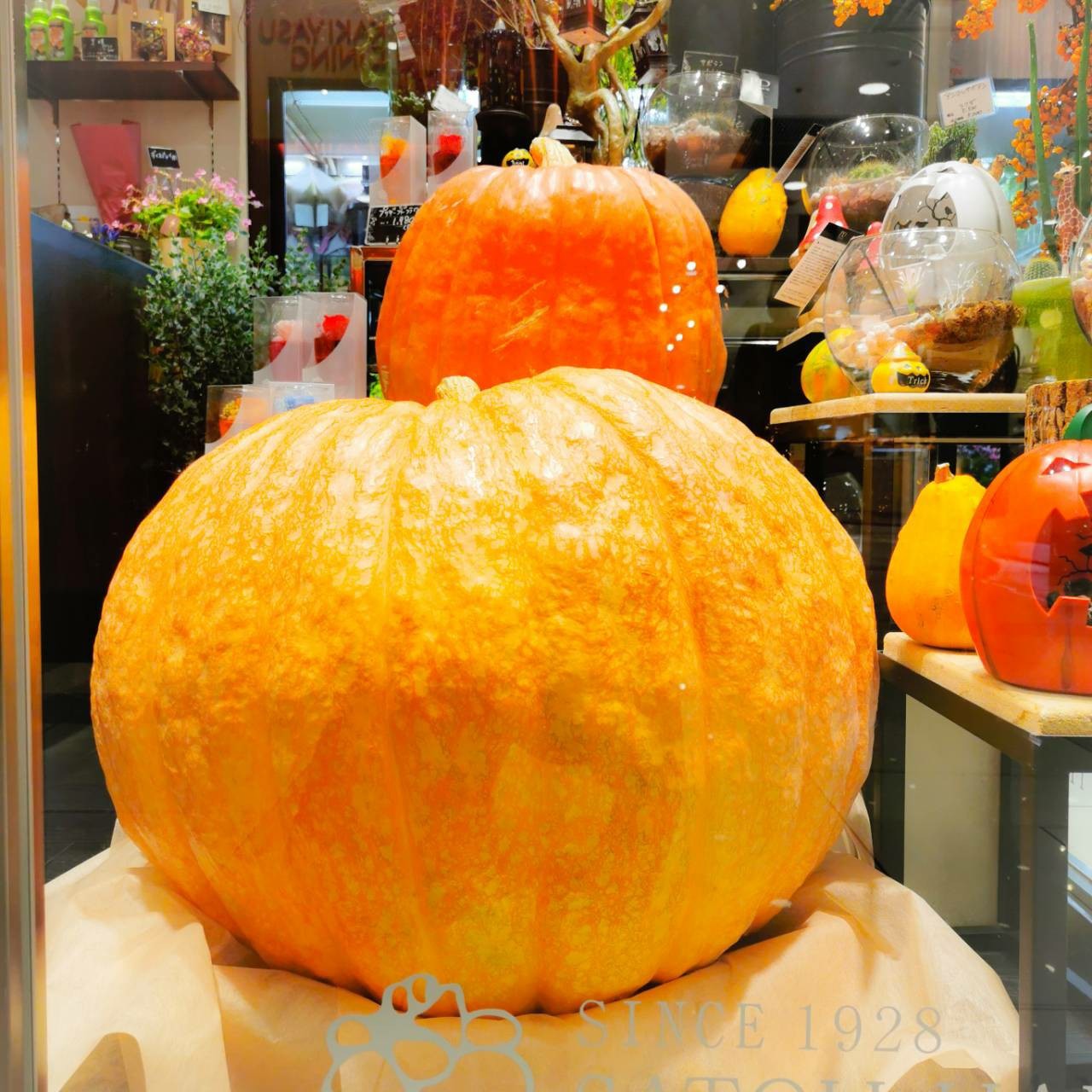 サトウ花店 Satoh Hanamise Twitter