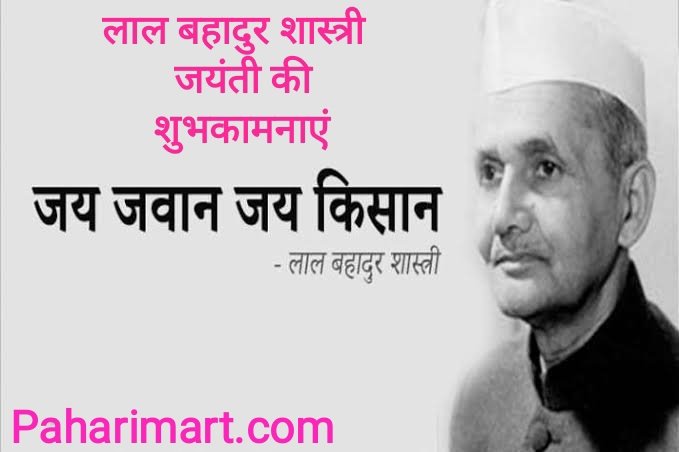 paharimart's tweet photo. https://t.co/gSZ2Atjm23