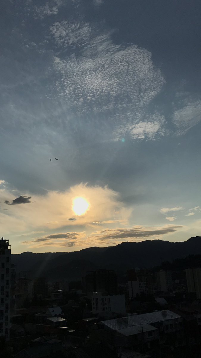 Beş Satırla
Annelerin ninnilerinden
                              spikerin okuduğu habere kadar,
yürekte, kitapta ve sokakta yenebilmek yalanı,
anlamak, sevgilim, o, bir müthiş bahtiyarlık,
anlamak gideni ve gelmekte olanı.       Nazım Hikmet